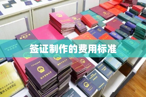 临高签证制作的费用标准